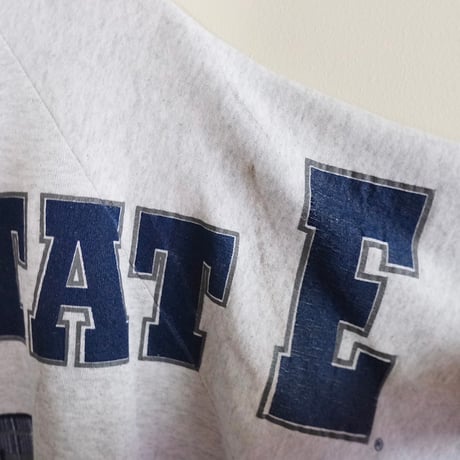 FRUIT OF THE LOOM / “Penn State NITTANY LIONS”