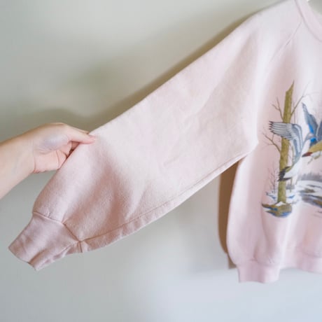FRUIT OF THE LOOM / “duck” sweat