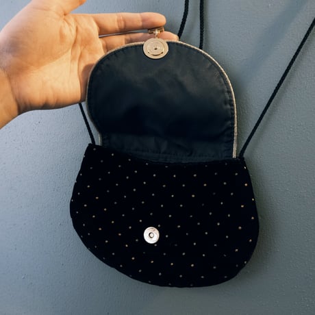 gold dot pochette with Pēgasos