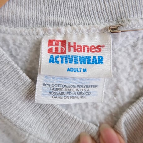 Hanes / rainbow sweat