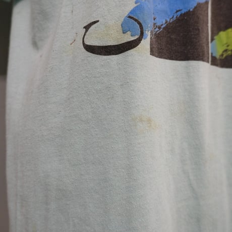 SCREEN STARS / print tee / made in USA