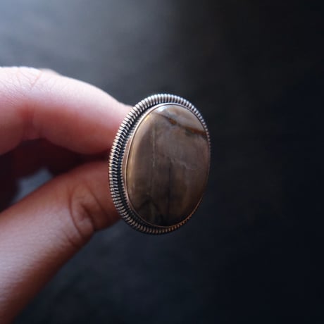 indian jewely / petrified ring