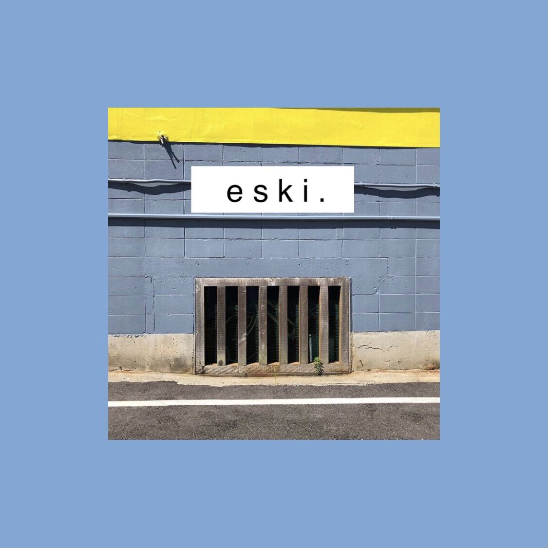 e s k i .