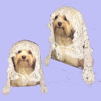 frill bunny hood εïз