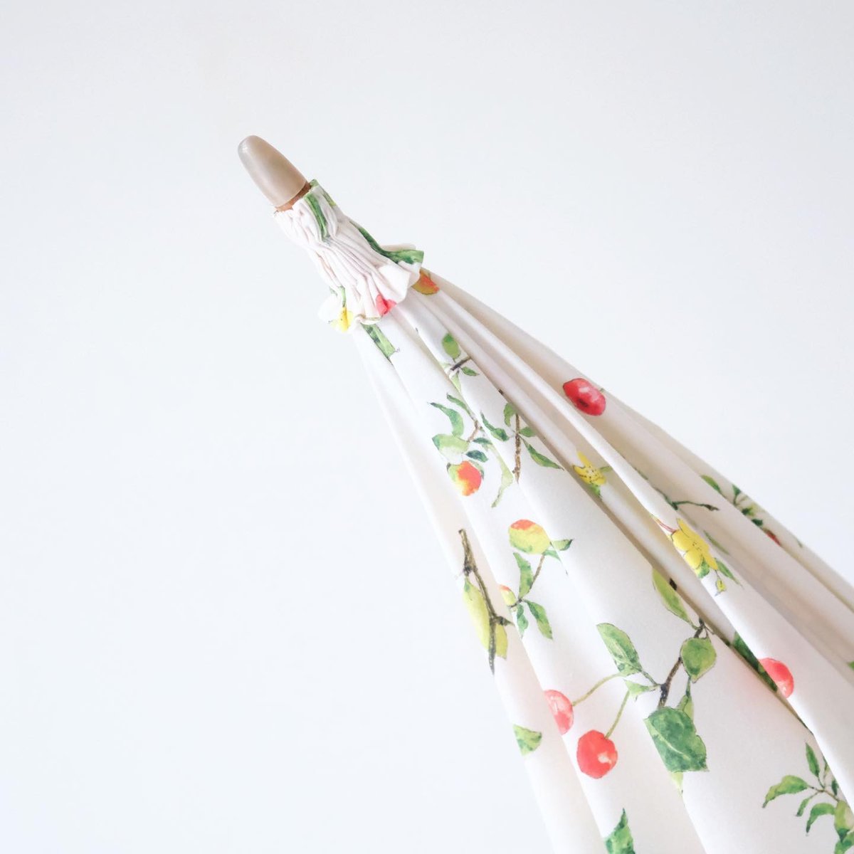 13周年オリジナル日傘【果樹】長傘｜イイダ傘店 | 84