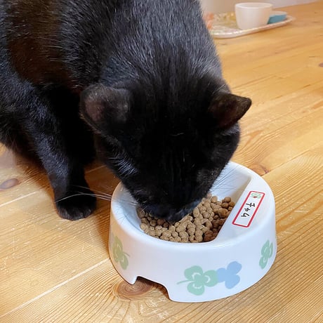 猫ちゃん用フードボウル（お名前シール付き）