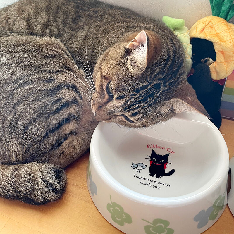 猫ちゃん用フードボウル（お名前シール付き） | Ribbon Cat - リボン