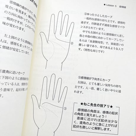 ねこ先生の手相教室【入門編】（単行本）