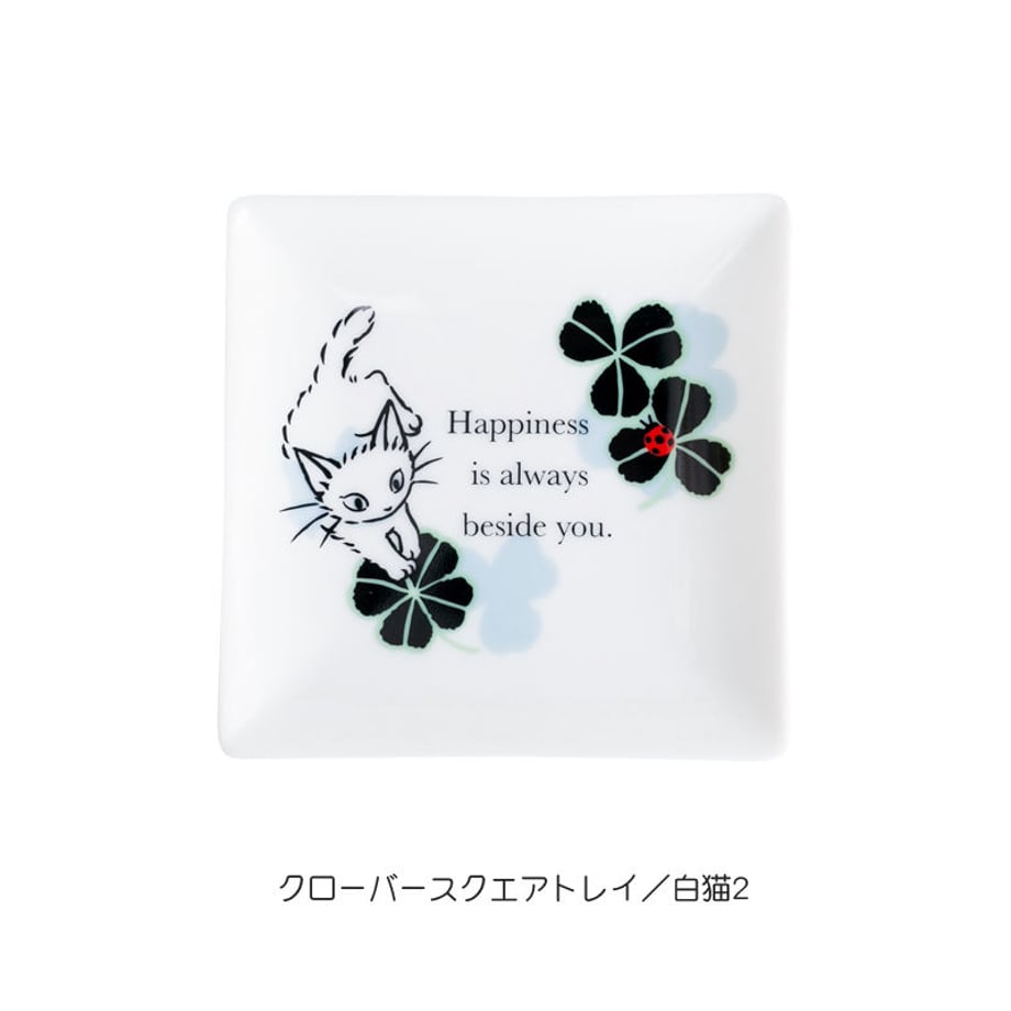 5bd6b172ef843f01c8000051