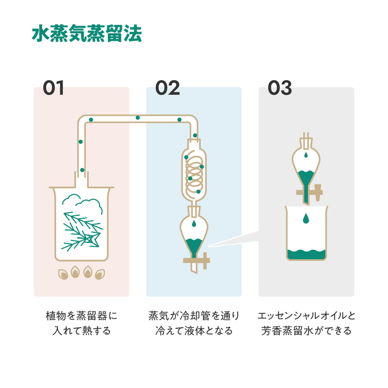 エッセンシャルオイル お試しセットvol.1【MOKULABO fragrance】 | 木製