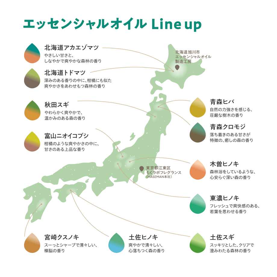 655bfd2b243a75002b22535e