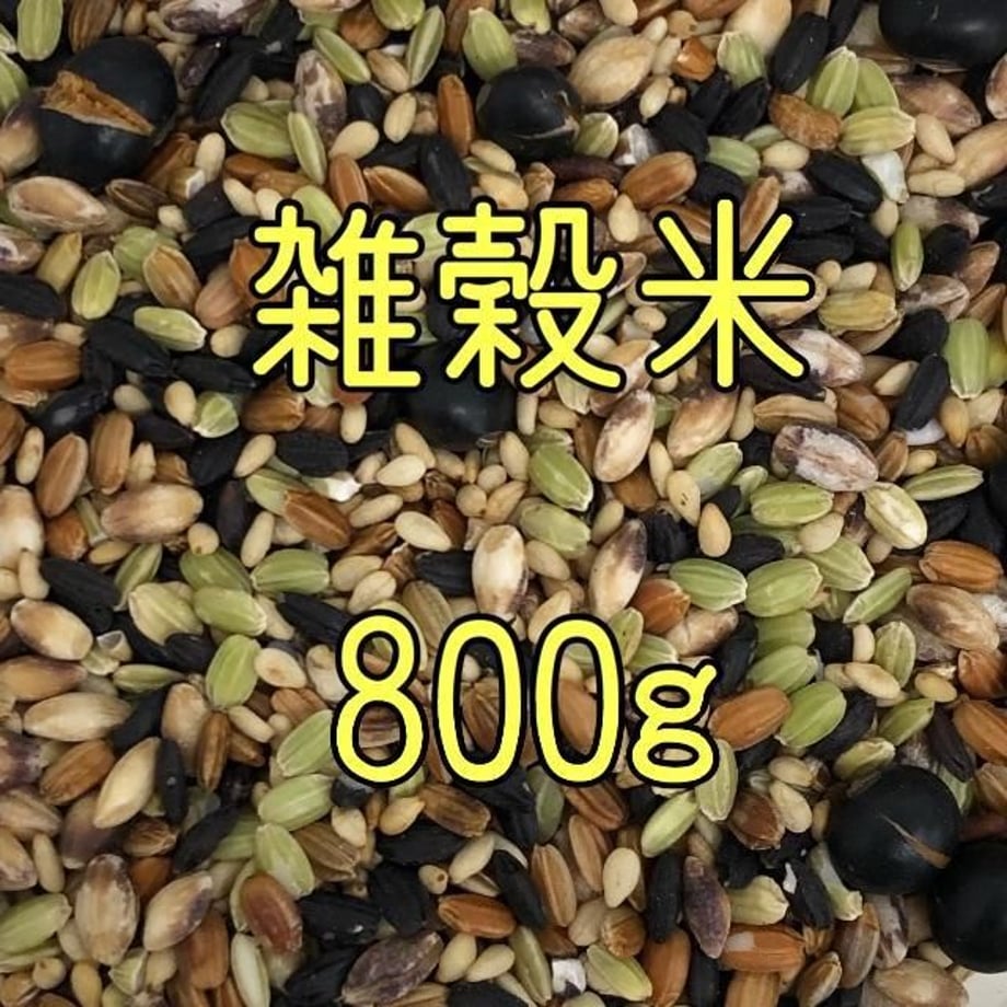 59c4e8bbed05e6737e000f88