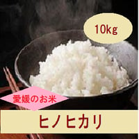 令和４年　 愛媛県産　　　　　ヒノヒカリ　白米 10kg