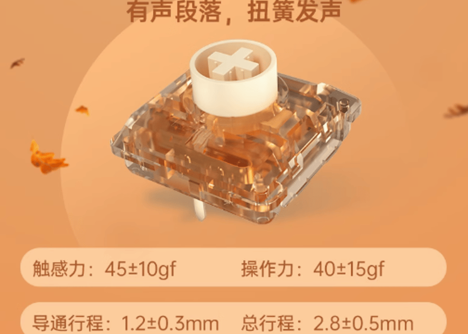 6766c65386f8d44fe02cc0ea