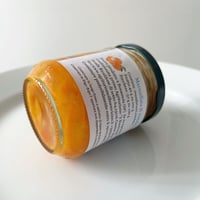 5月21日よりご発送 / Marmellata di Mandarini giapponesi 200g ラッセッラ / マルメッラータ ディ マンダリーニ ジャッポネージ 金柑のジャム 200g
