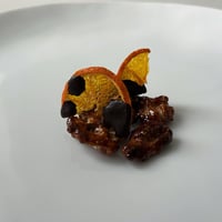 Grocery Sym Gris + Noir 有機胡桃のキャラメリゼ　糸島産柑橘のドライチョコレート掛け　40g