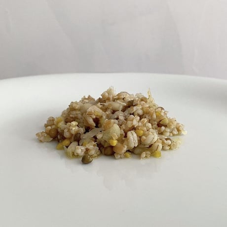 GIACOMO SANTOLERI ジャコモ・サントレーリ　スファッラータ(麦と豆を砕いたもの)　500gy