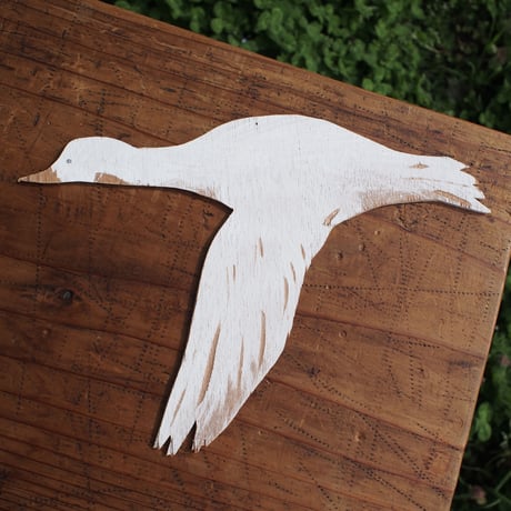 takanori masutani | flying bird