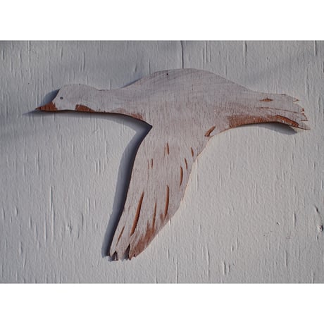 takanori masutani | flying bird