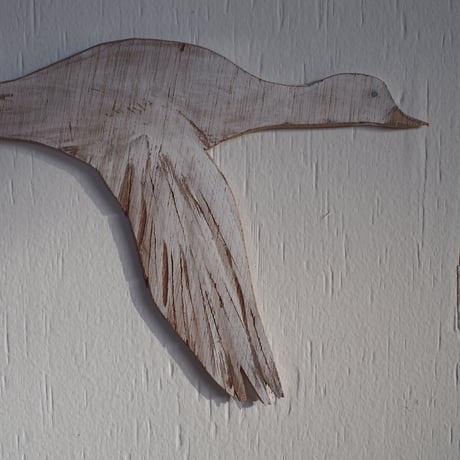 takanori masutani | flying bird