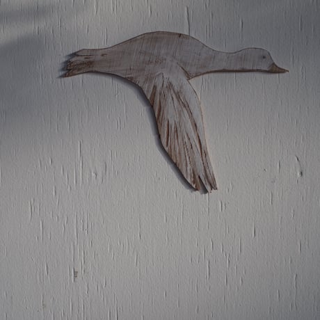 takanori masutani | flying bird