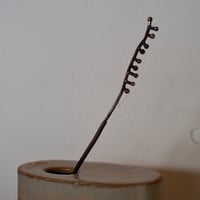aya sasakura | a plant