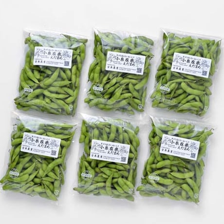 【2026 ご予約受付中！】小糸在来(R)えだまめ 1.5kg