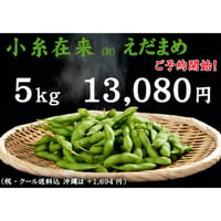 【2026 ご予約受付中】小糸在来(R)えだまめ 5kg