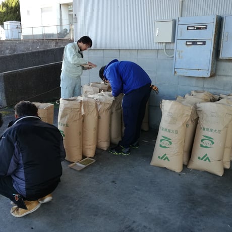 【ご予約商品】小糸在来(R) 味噌用大豆 1キロ単位 【送料別】