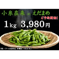 【2026 ご予約受付中！】小糸在来(R)えだまめ 1kg
