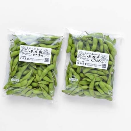 【2026 ご予約受付中！】小糸在来(R)えだまめ 500g