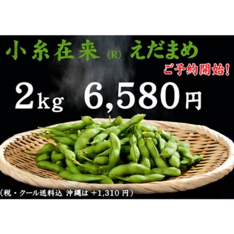 【2026 ご予約受付中！】小糸在来(R)えだまめ 2kg