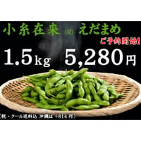 【2026 ご予約受付中！】小糸在来(R)えだまめ 1.5kg