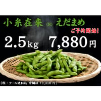 【2026 ご予約受付中】小糸在来(R)えだまめ 2.5kg