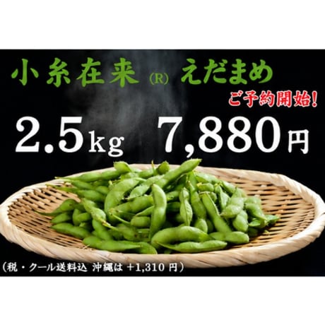 【2026 ご予約受付中】小糸在来(R)えだまめ 2.5kg