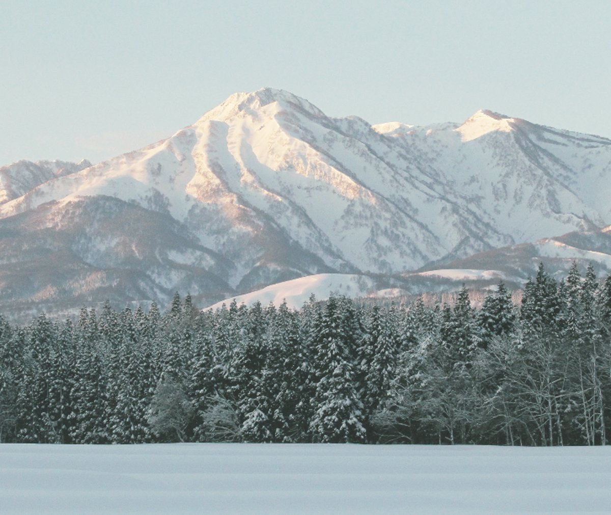 新潟妙高の雪解け水で育ったお米「雪番長米」令和5年(2023年 新潟妙高の雪解け水で育ったお米「雪番長米」令和5年(2023年
