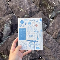知らない草探しの会 / のもとしゅうへい