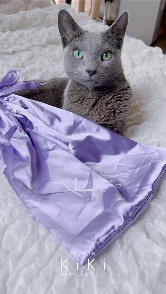 国内で当店のみ Kikillo スウェット 猫 Cat 空紡糸裏毛 猫と麦酒 クルースウェット（スウェット）｜go slow