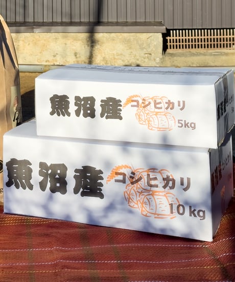 【南魚沼産コシヒカリ・新米5kg】令和7年産・1等米／精米したて発送《8袋限定》