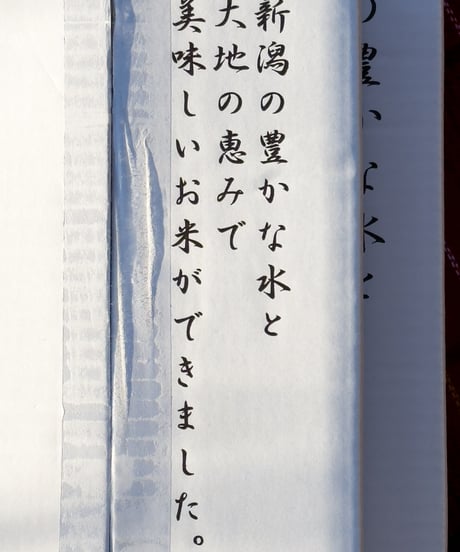 【南魚沼産コシヒカリ・新米30kg】令和7年産・1等米／精米したて発送《2セット限定》