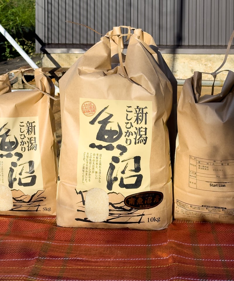 南魚沼産コシヒカリ・新米10kg】令和7年産・1等米/精米したて発送《5 南魚沼産コシヒカリ・新米10kg】令和7年産・1等米/精米したて発送《5