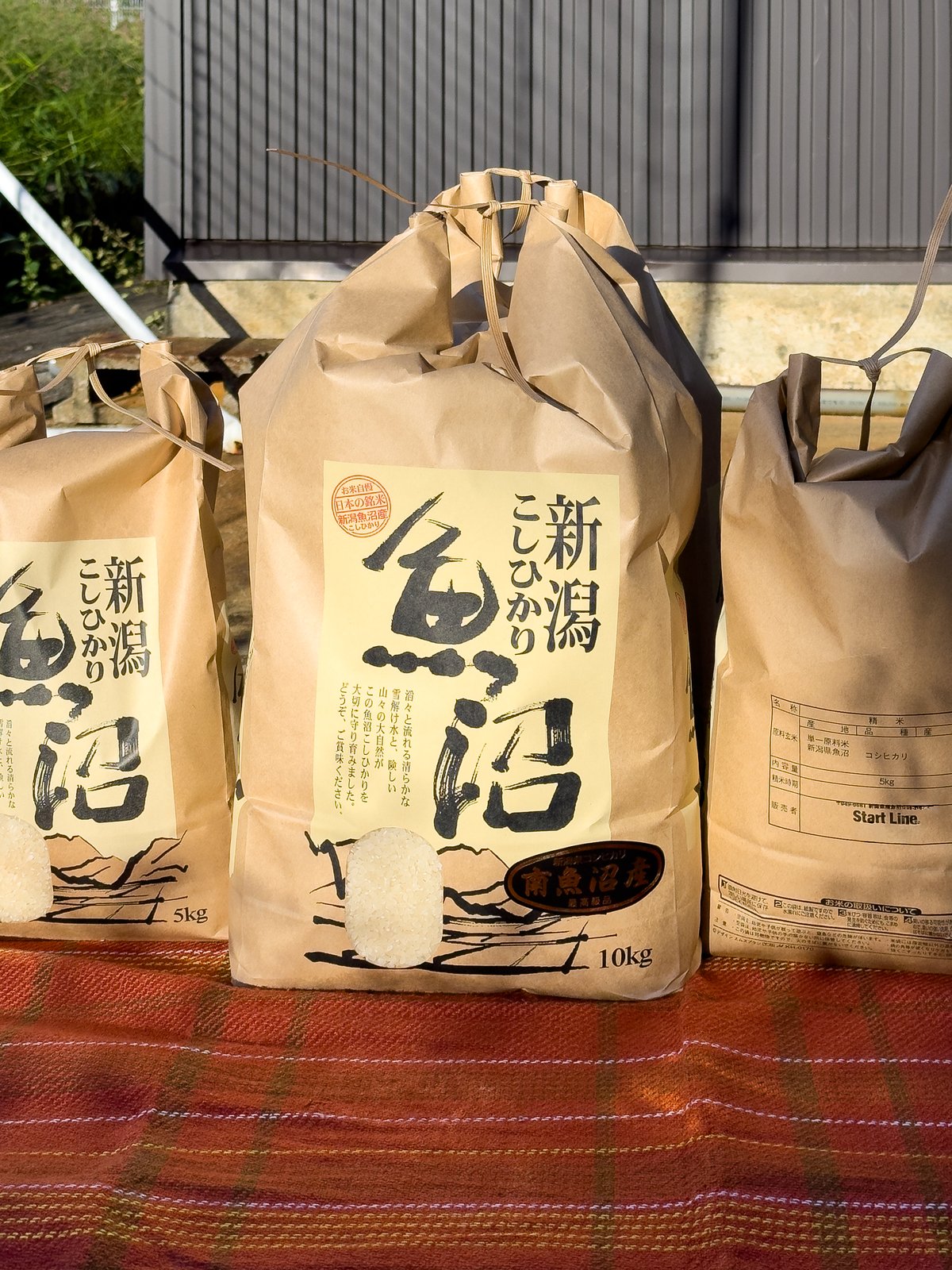 南魚沼産コシヒカリ・新米10kg】令和7年産・1等米／精米したて発送《5