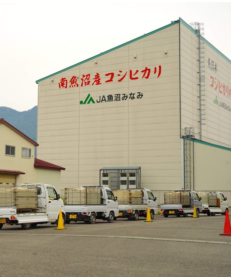 【南魚沼産コシヒカリ・新米30kg】令和7年産・1等米／精米したて発送《2セット限定》