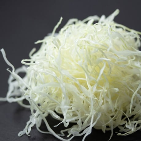 【ザワつく!金曜日で紹介】とんかつ屋さんの"超ふわふわ"千切りキャベツが家で作れる！包丁職人が作ったキャベツスライサー