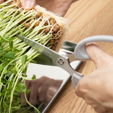 お肉も魚も野菜もドントコイ！包丁屋さんがつくった左利き用万能キッチンバサミ