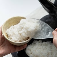 【オー!マイゴッド!で紹介】お米のくっつきにくさ極上！ご飯を美味しくする「シャリ切を極めた」しゃもじ！極しゃもじプレミアム