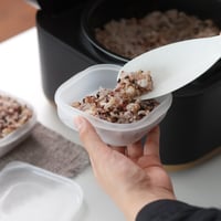 レンジで冷凍ご飯をムラなくふっくらと温められる保存容器「極冷凍ごはん容器1膳用2個入 マットクリア」