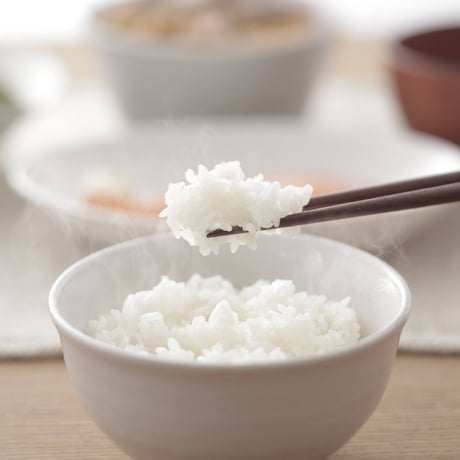 レンジで冷凍ご飯をムラなくふっくらと温められる保存容器「極冷凍ごはん容器大盛り用2個入 ホワイト」