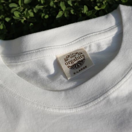 ハバグレ コラボTシャツ ホワイト