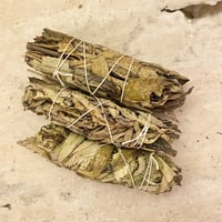 Yerba Santa Smudge Bundle